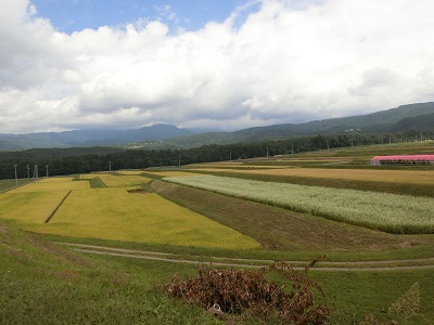 茅野市笹原周辺の鏝絵巡り_f0019247_1685448.jpg
