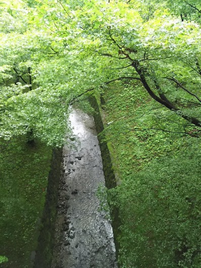 c0134850_06415403.jpg
