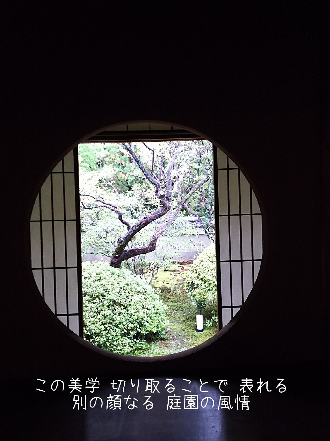 c0134850_06442747.jpg