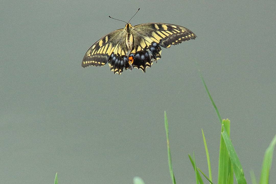 e0403850_23051327.jpg
