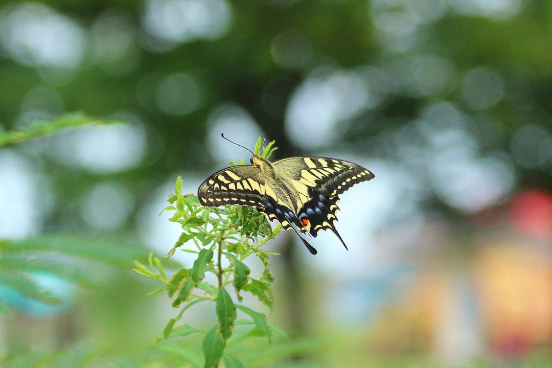 e0403850_23051331.jpg