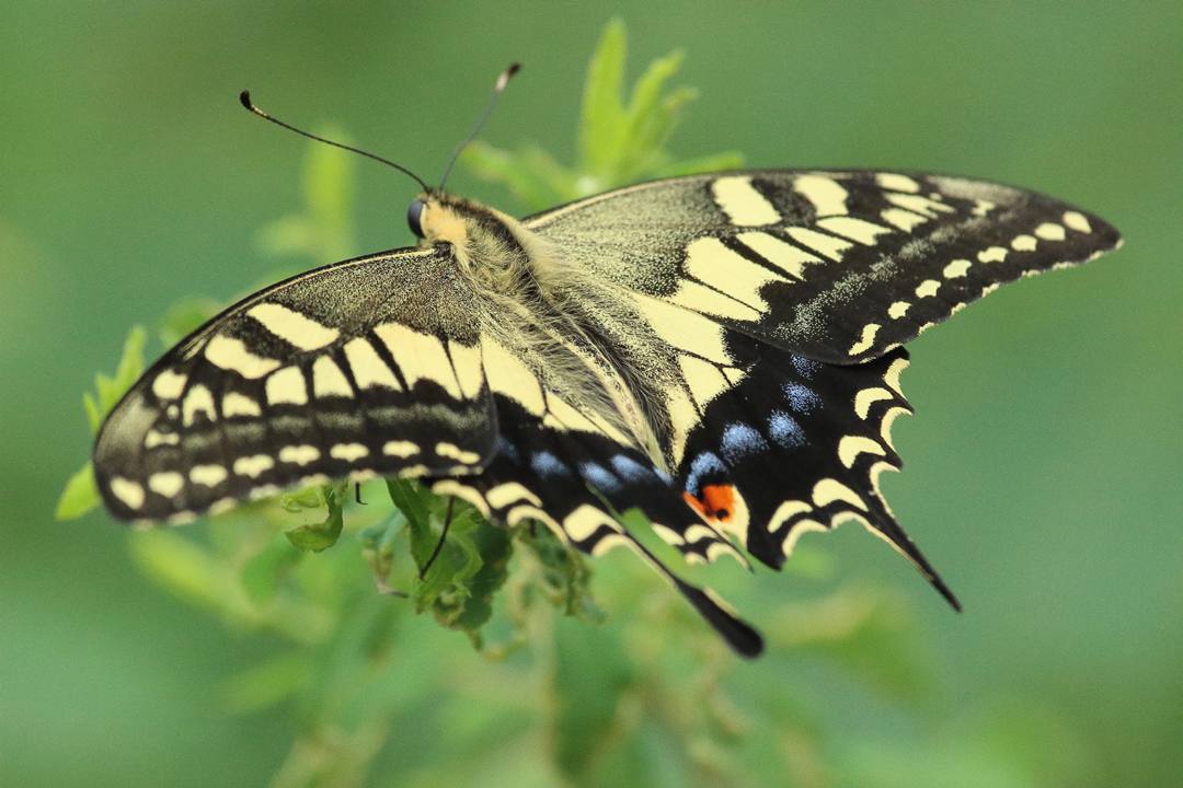 e0403850_23051371.jpg