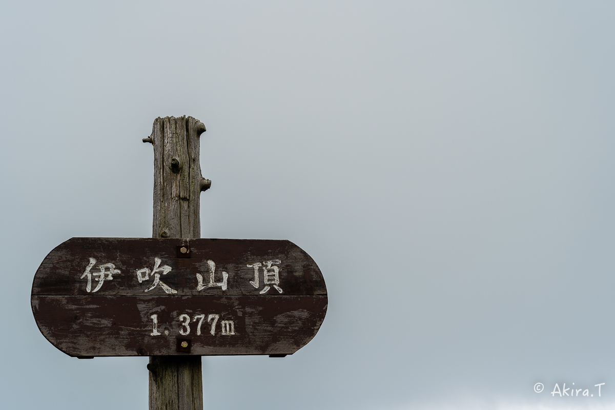 f0152550_22114829.jpg
