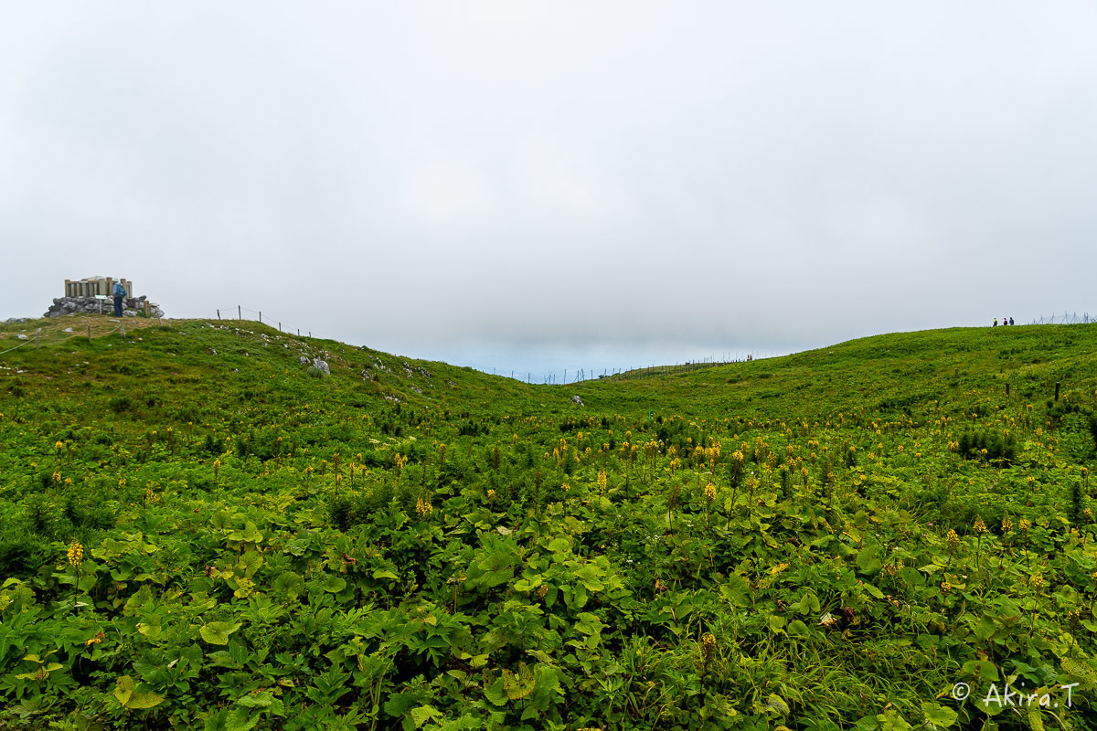 f0152550_22124442.jpg
