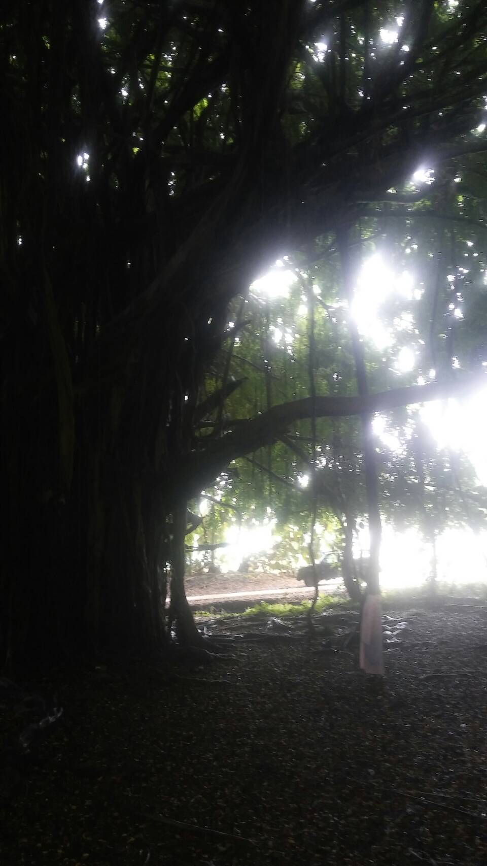 b0126453_04221630.jpg