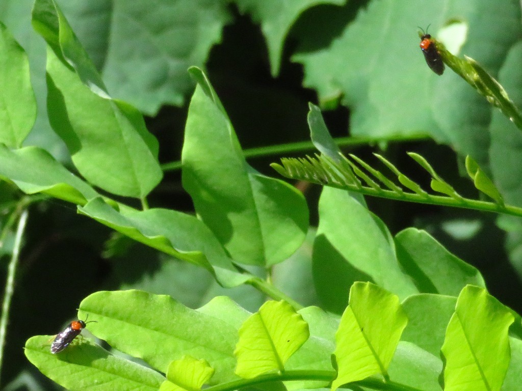 a0018655_08280396.jpg