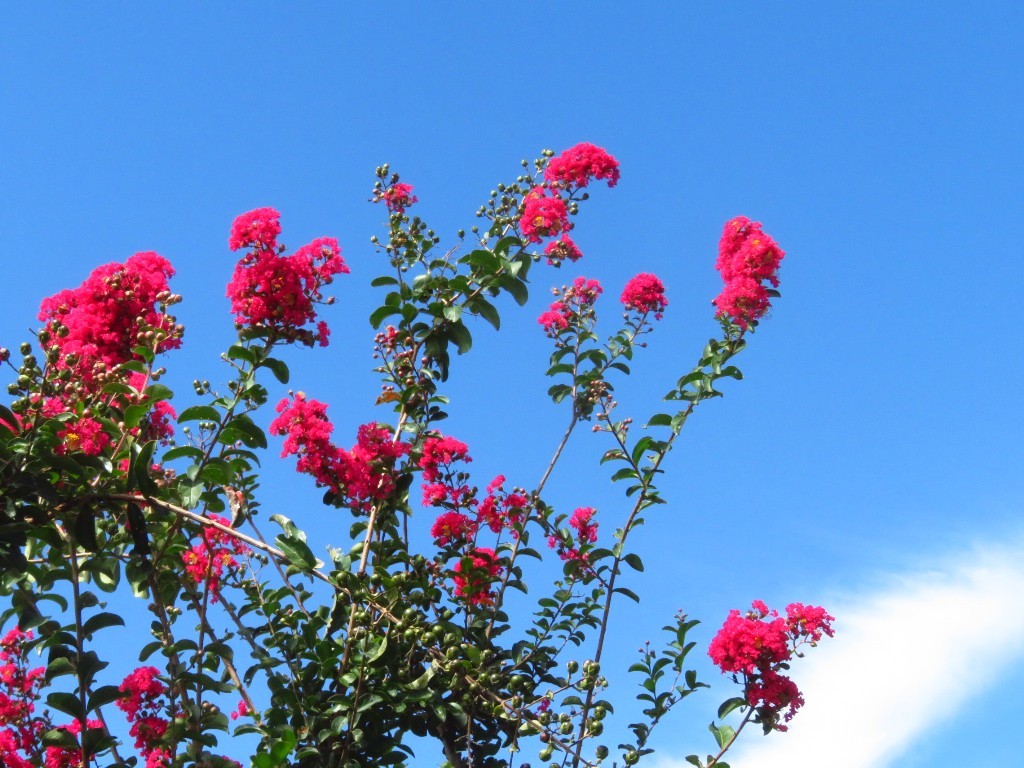 a0018655_08433149.jpg