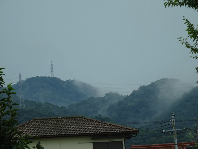 c0108460_11482083.jpg