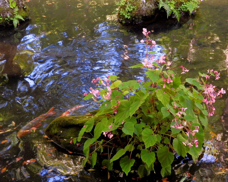 c0305565_17335922.jpg
