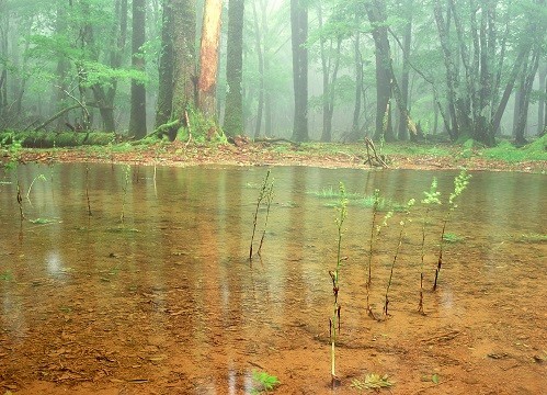 c0303868_09053065.jpg