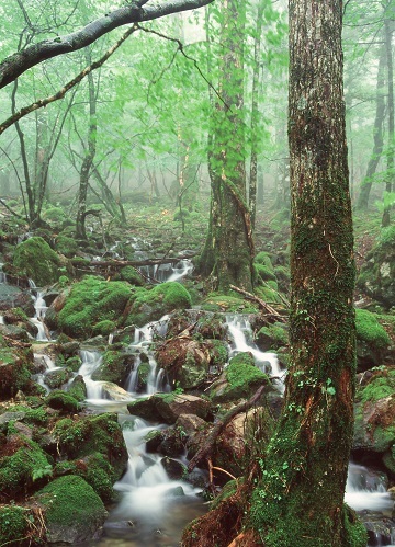 c0303868_09071211.jpg