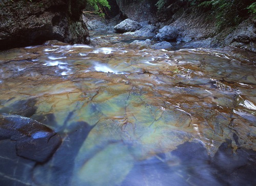 c0303868_11311458.jpg