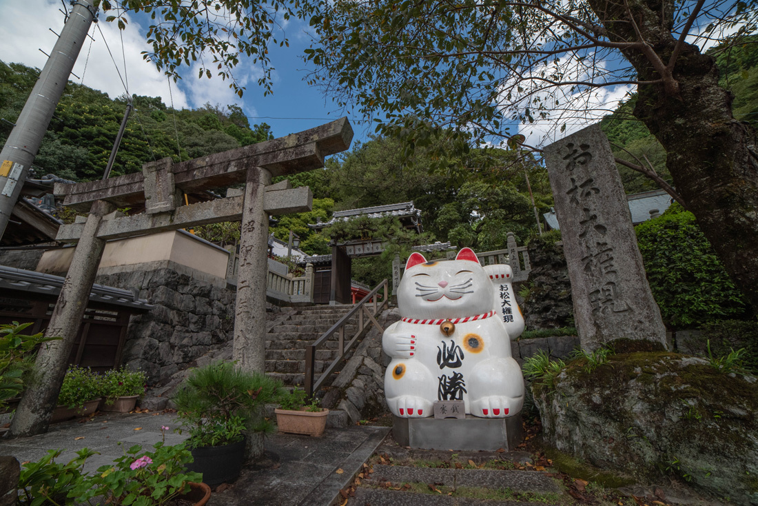 徳島へ_b0259669_17284608.jpg