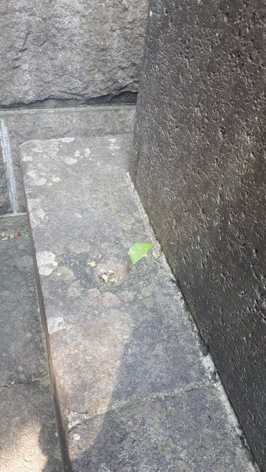 20190901-13その他twitterまとめ日記;池上本門寺首吊り坂、13日の金曜日ジェイソン大喜利、台風_b0116271_15293952.jpg