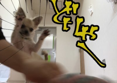 トレーニングブログ_f0357682_23421411.jpeg