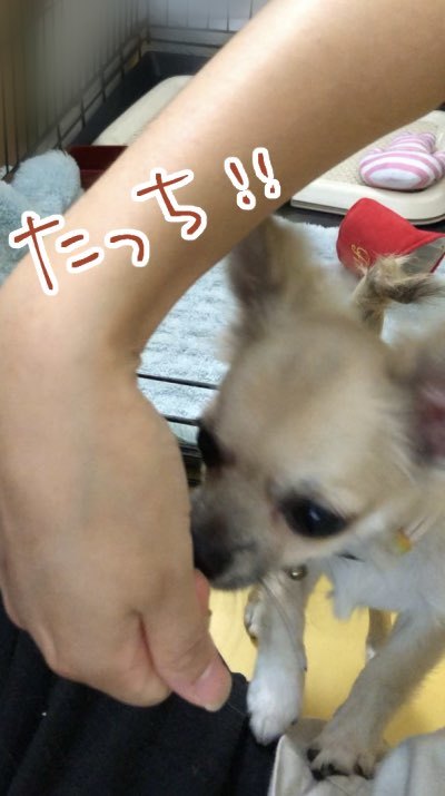 トレーニングブログ_f0357682_23440464.jpeg