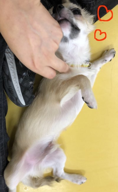 トレーニングブログ_f0357682_23445357.jpeg