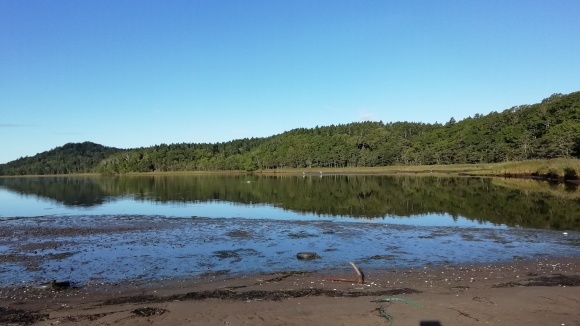 c0212083_17382810.jpg