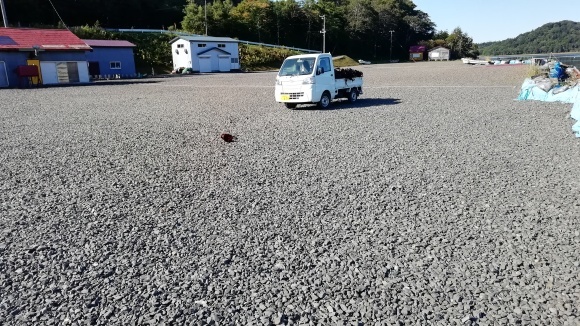 c0212083_17431000.jpg