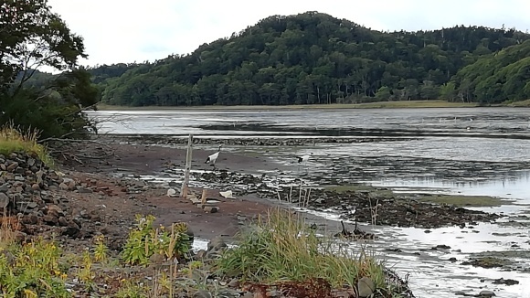 c0212083_17433528.jpg