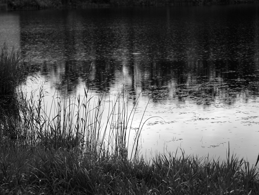 c0229384_21091561.jpg