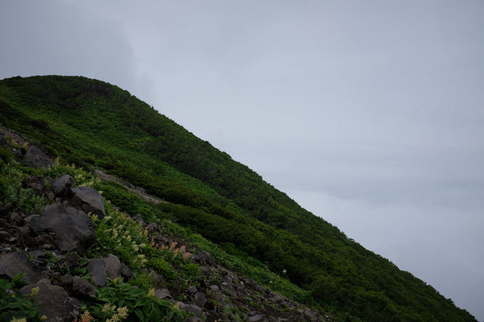 b0339488_19240658.jpg