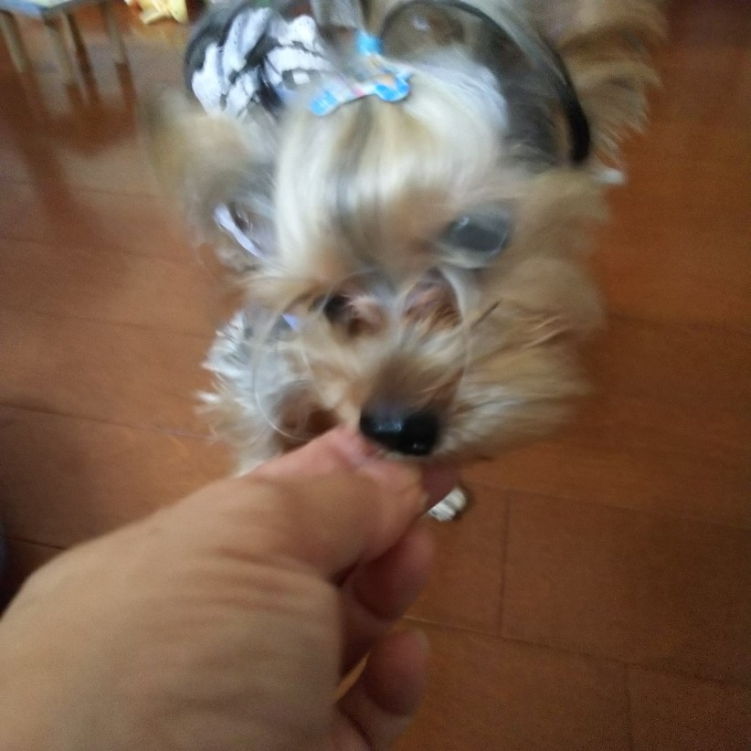c0191390_21011785.jpg
