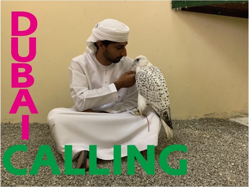【Dubai Calling ドバイコーリング③】_d0083692_07225209.jpeg