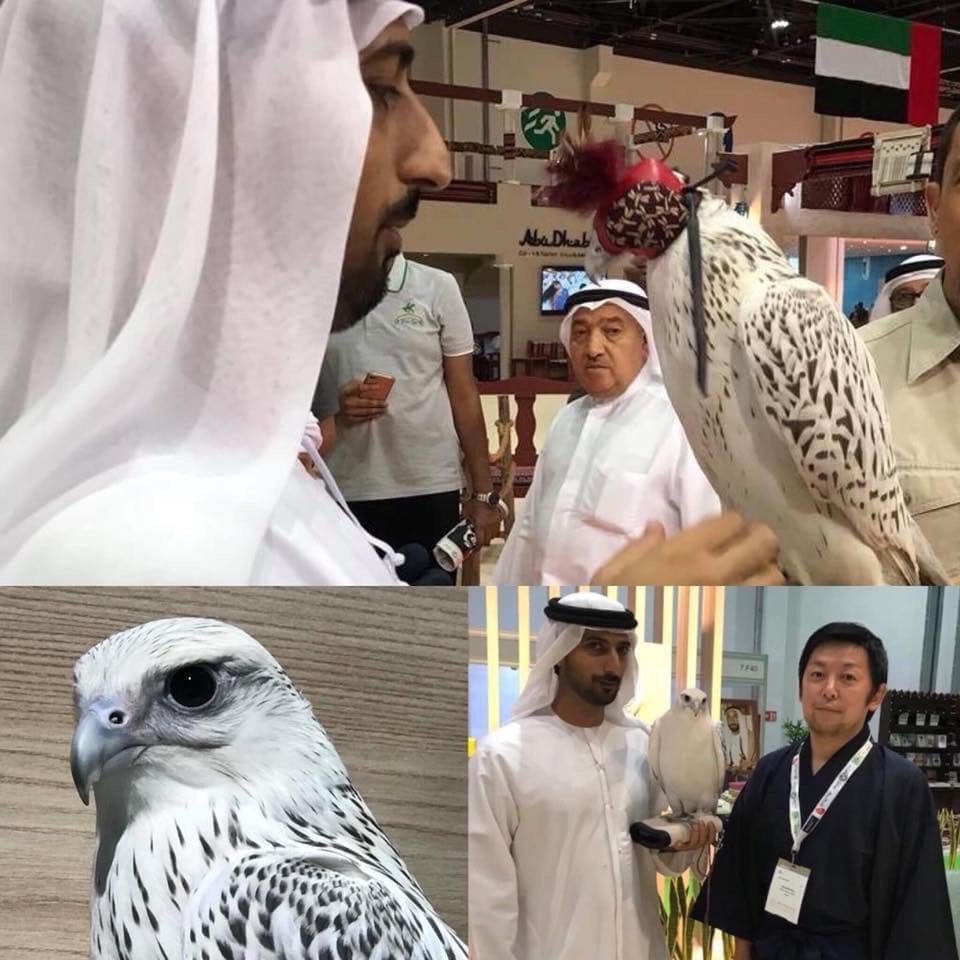 【Dubai Calling ドバイコーリング③】_d0083692_07240193.jpeg