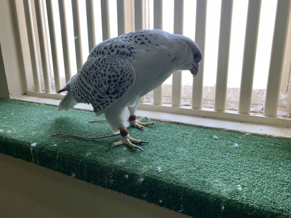 【Dubai Calling ドバイコーリング③】_d0083692_07272867.jpeg