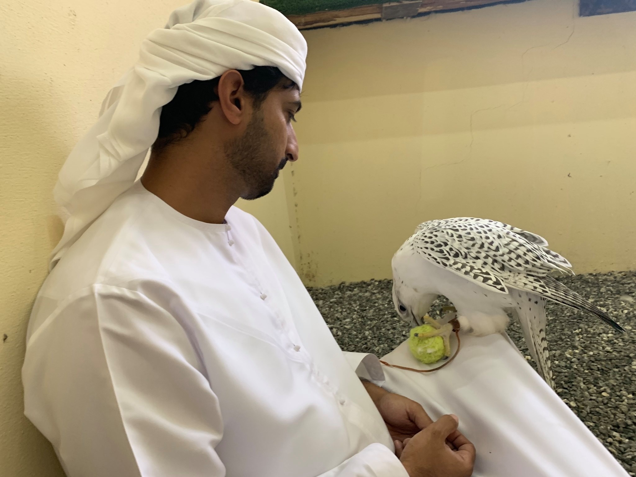 【Dubai Calling ドバイコーリング③】_d0083692_07282839.jpeg