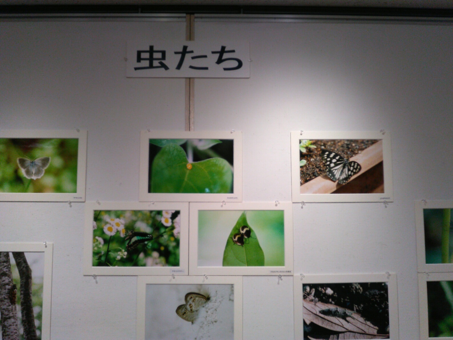 a0085195_03370918.jpg