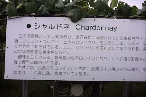 c0090198_17501770.jpg