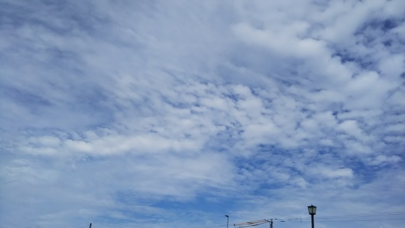 f0255500_14383371.jpg