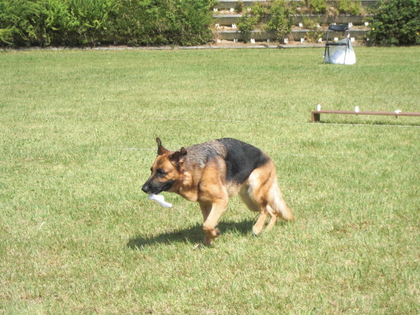 f0249602_11524022.jpg