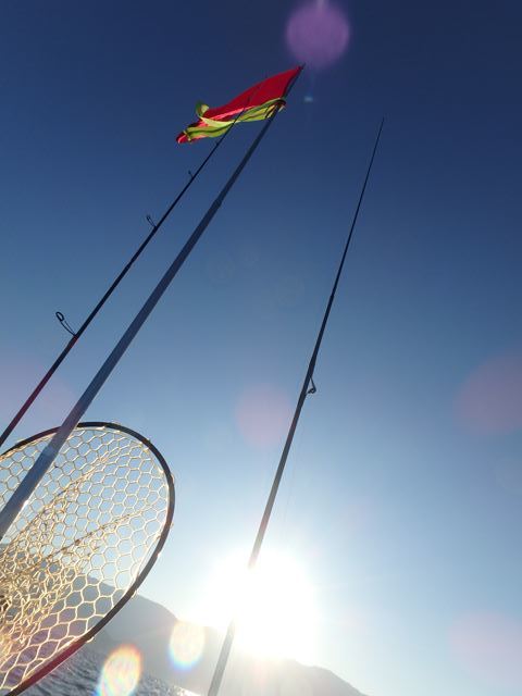 b0137704_22025584.jpg