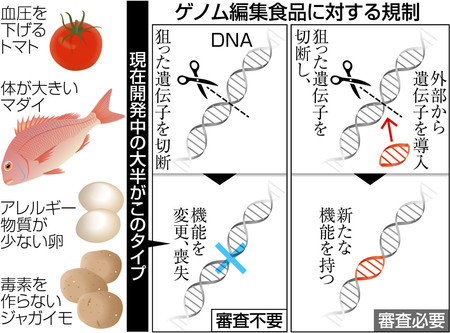 すべてのゲノム編集食品には表示を義務付けてください_c0025115_21462718.jpg