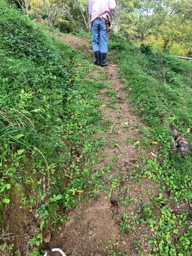 今年も吉野山の道造りをしてきました_e0154524_08435842.jpg