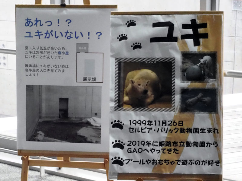 シロクマ クロクマ 動物園放浪記