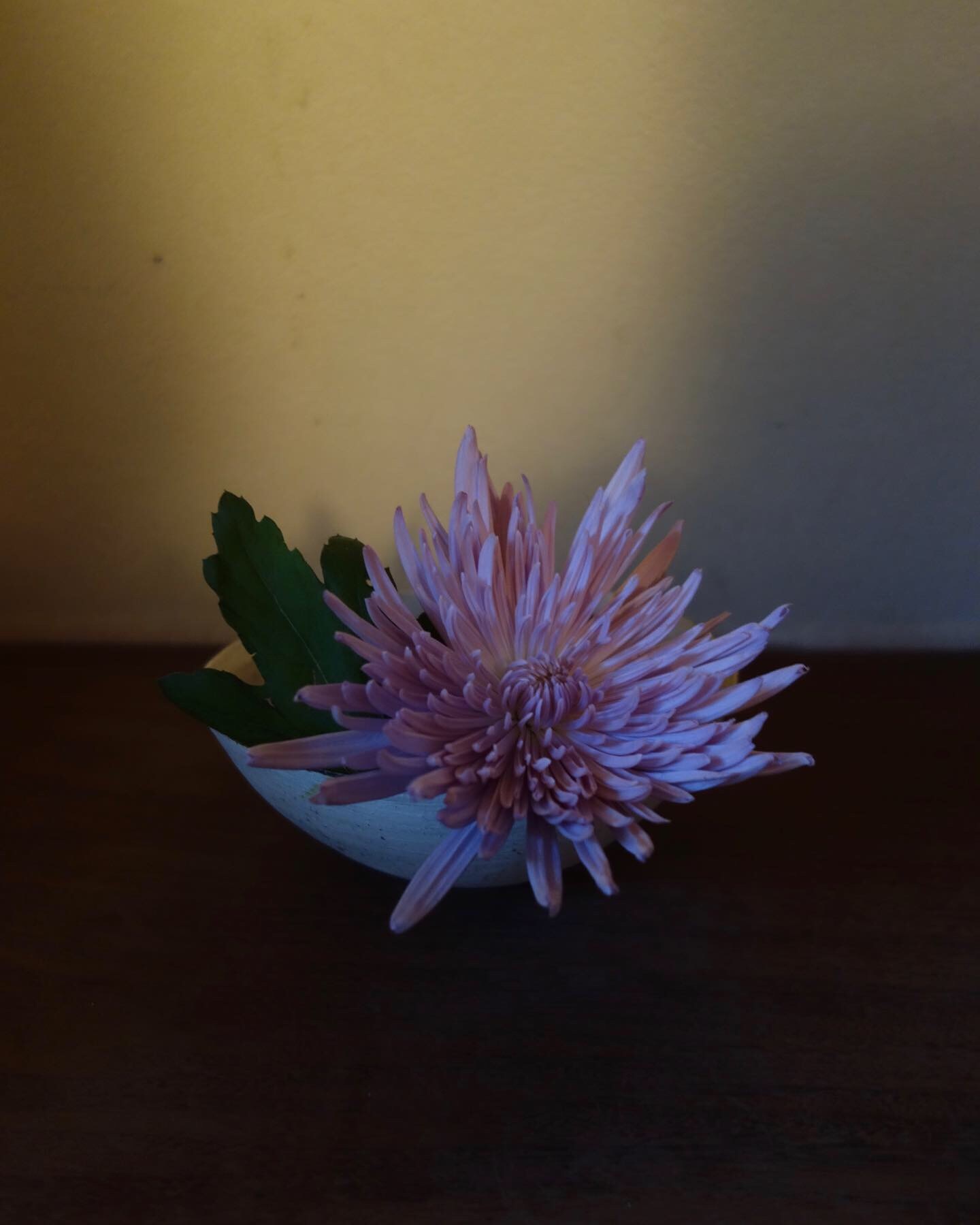 重陽の節供_a0197730_03061901.jpeg