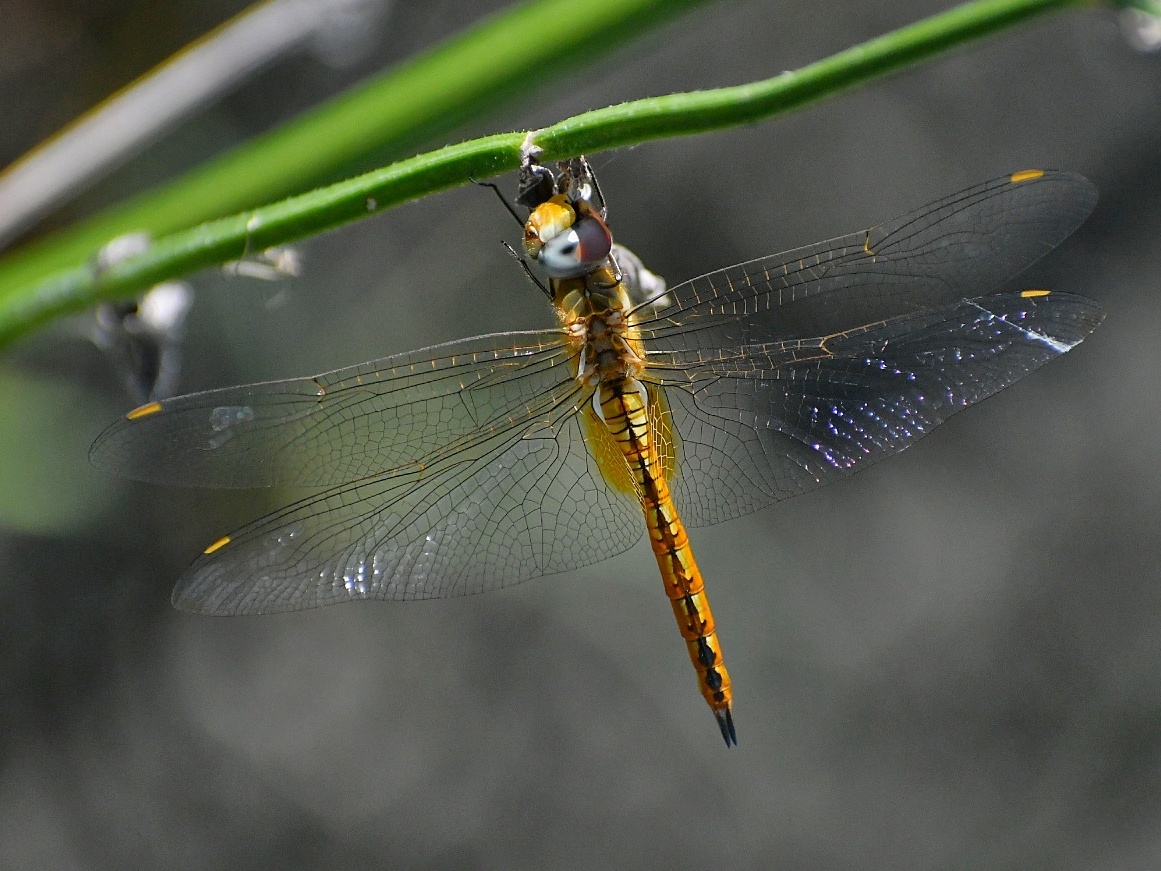 f0340732_23354284.jpg