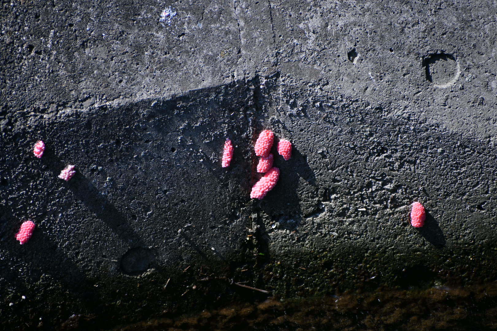 f0340732_23404249.jpg