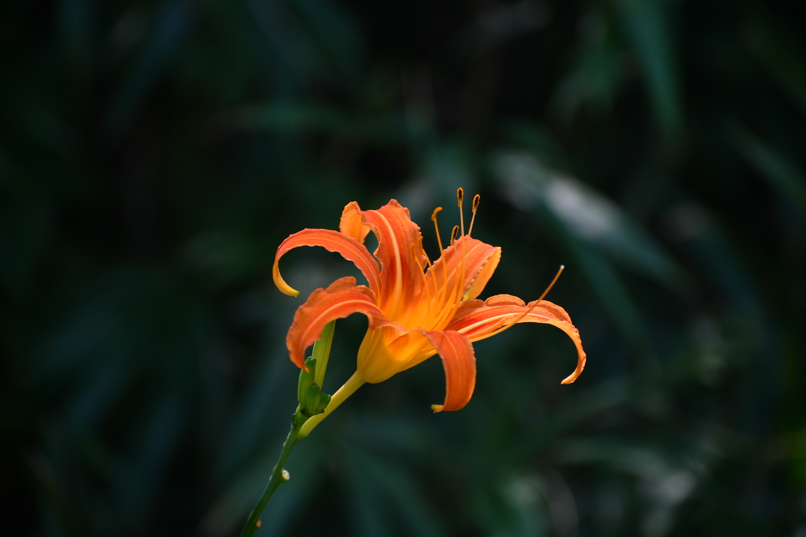 f0340732_23414280.jpg