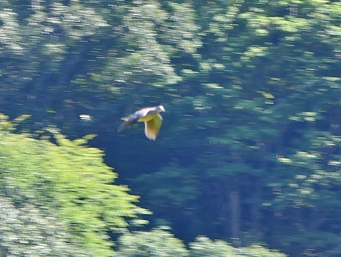 f0340732_23433874.jpg