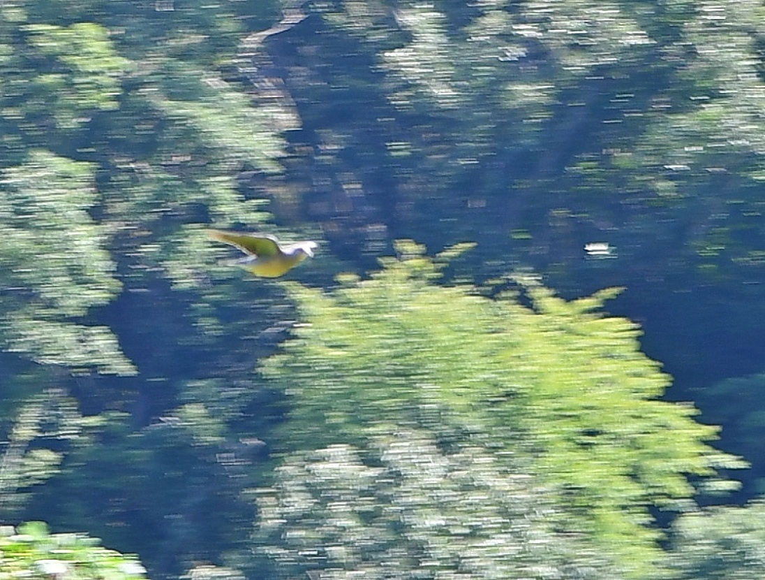 f0340732_23433895.jpg
