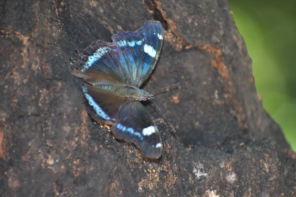 f0340732_23450488.jpg