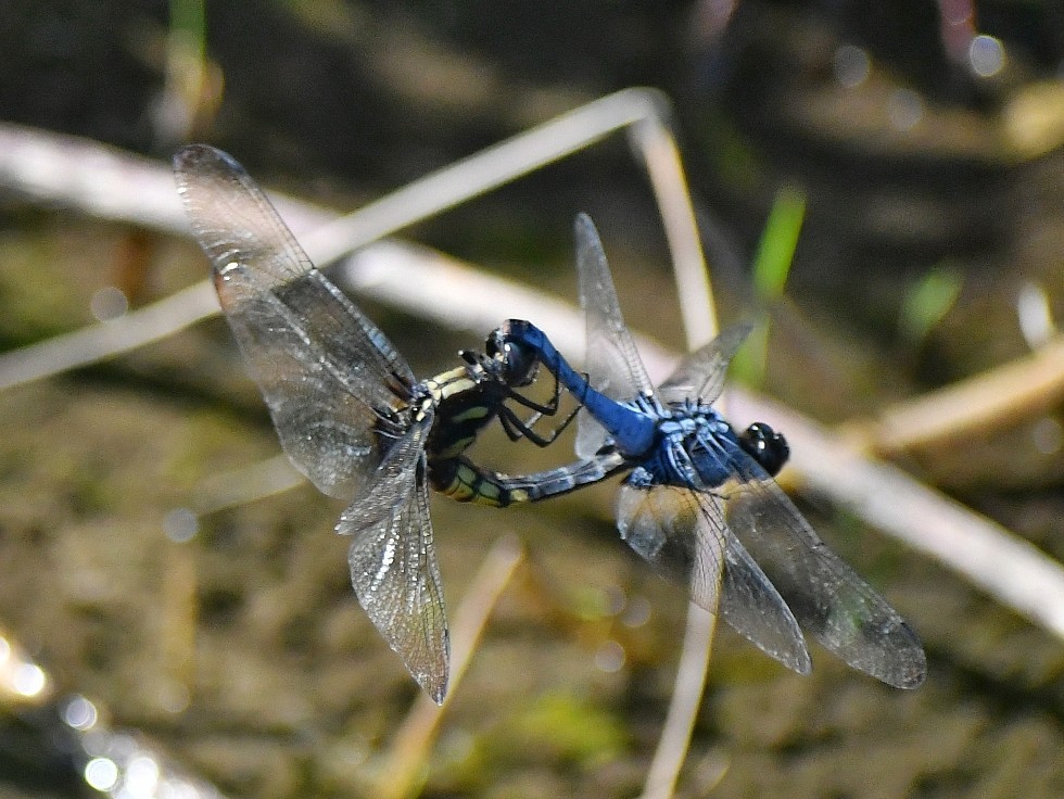 f0340732_23504444.jpg
