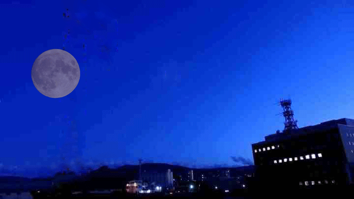 e0379641_18411598.gif