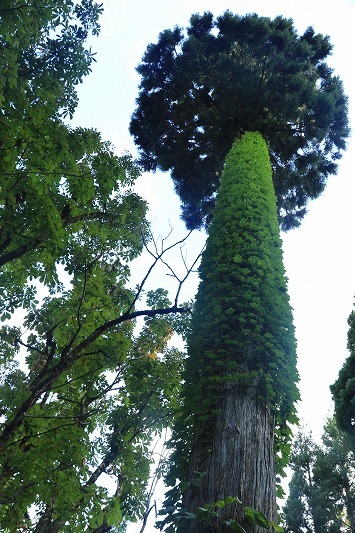 c0155950_21131033.jpg