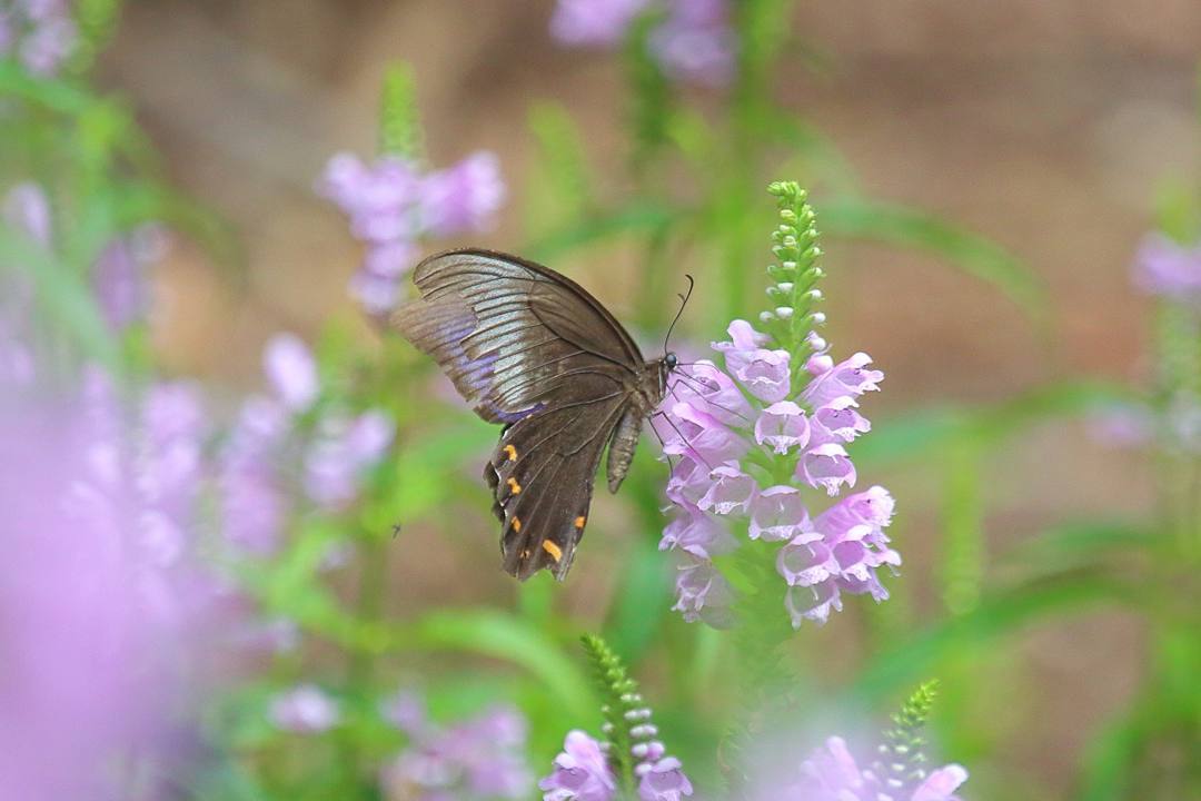 e0403850_23391017.jpg